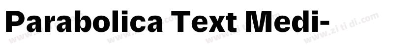 Parabolica Text Medi字体转换 Parabolica Text Medi字体转换